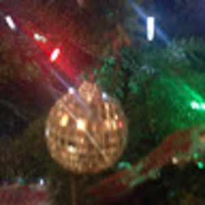 Meet your Posher, Roblox_savages